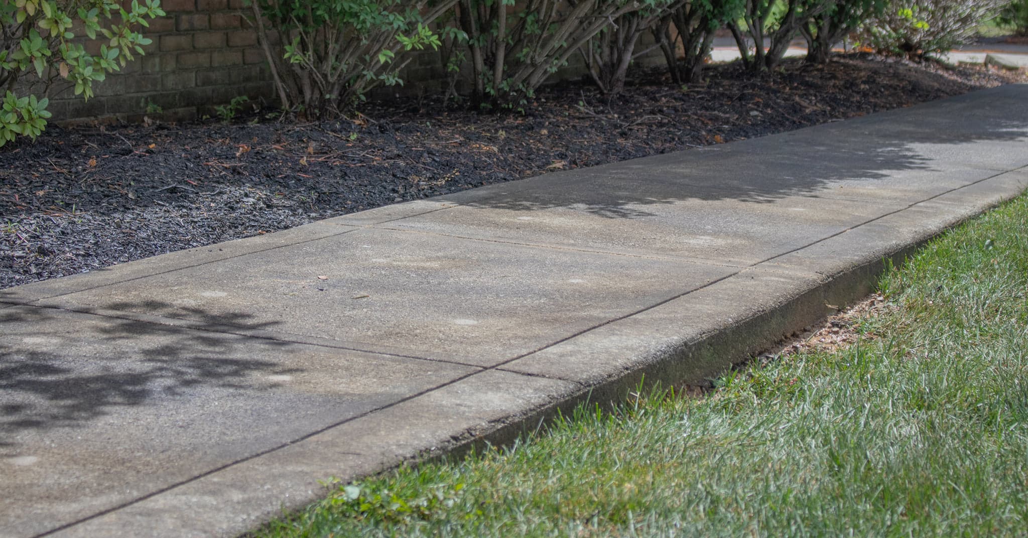 Sidewalk Leveled by TD Concrete Leveling-min