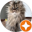 Nickolas profile picture